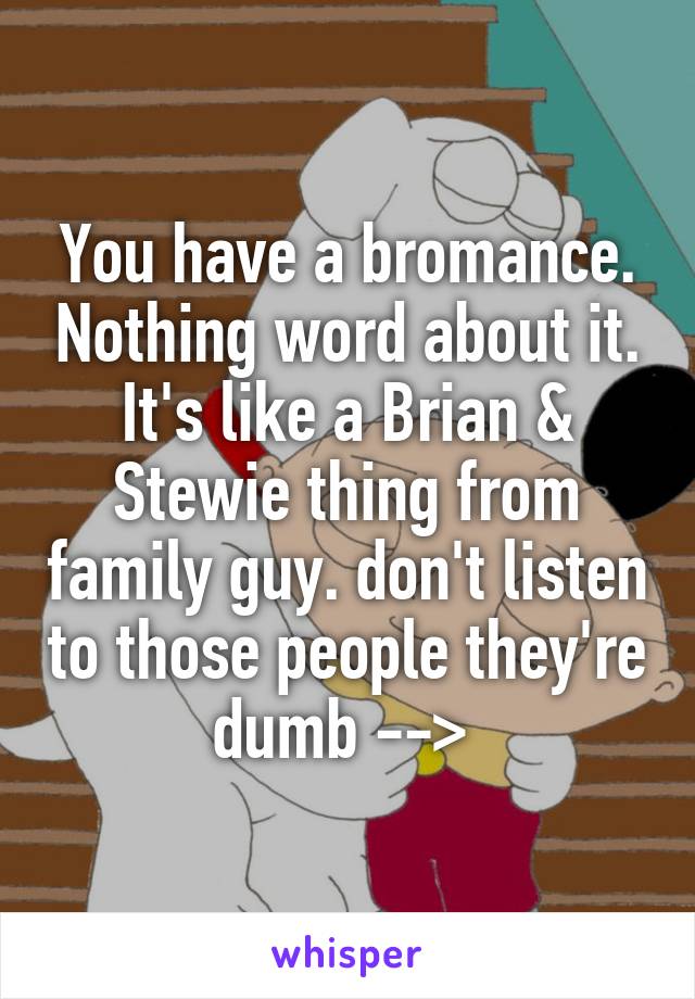 You have a bromance. Nothing word about it. It's like a Brian & Stewie thing from family guy. don't listen to those people they're dumb --> 