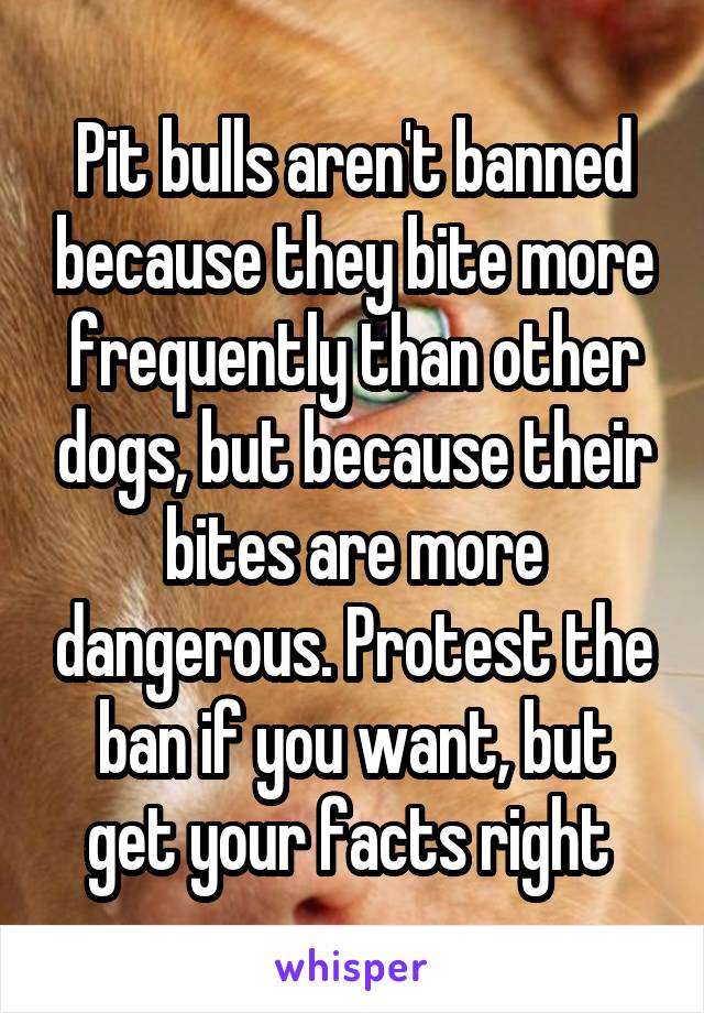 Pit bulls aren't banned because they bite more frequently than other dogs, but because their bites are more dangerous. Protest the ban if you want, but get your facts right 
