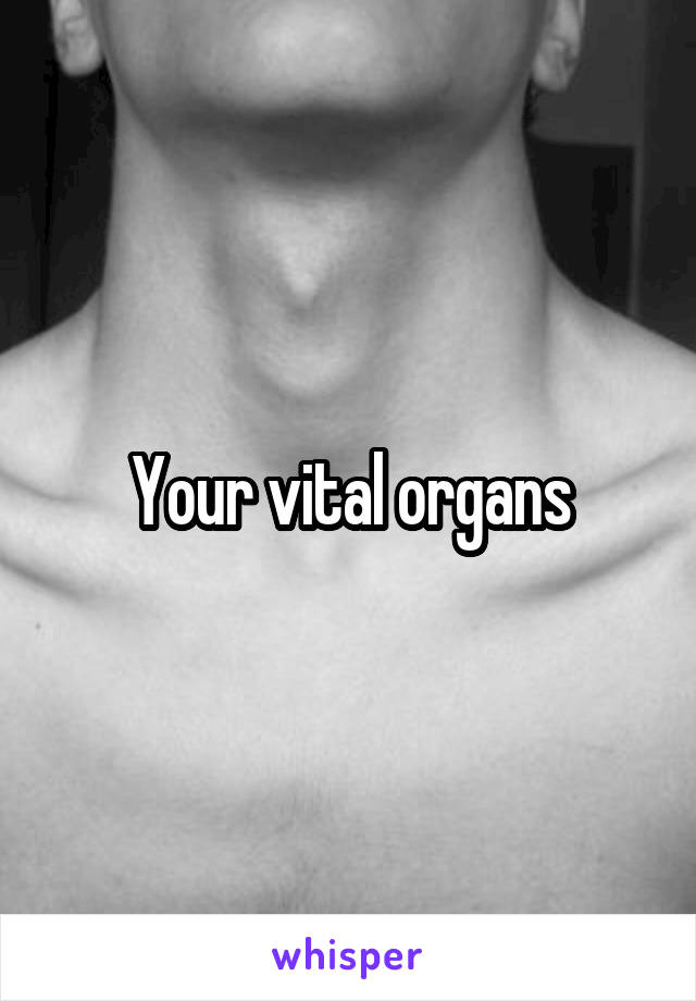 Your vital organs