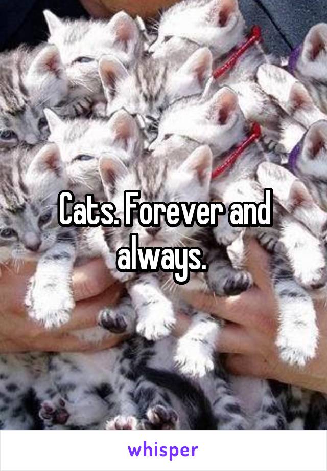 Cats. Forever and always. 