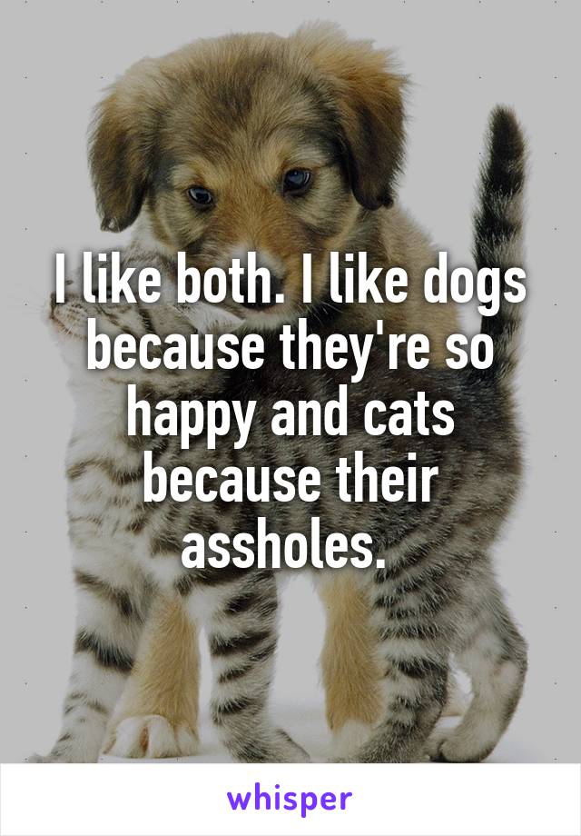 I like both. I like dogs because they're so happy and cats because their assholes. 