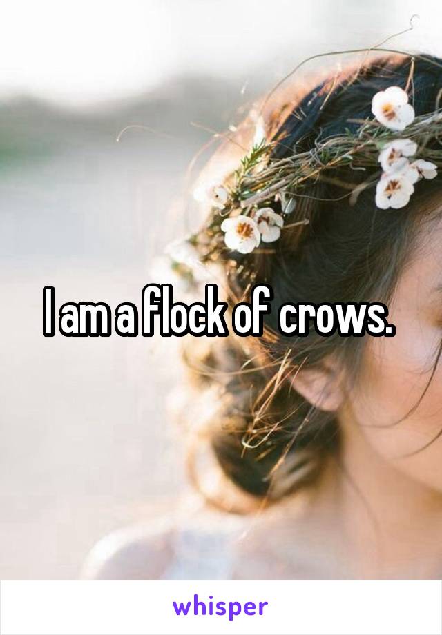 I am a flock of crows. 