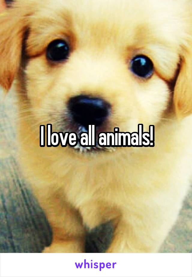 I love all animals!