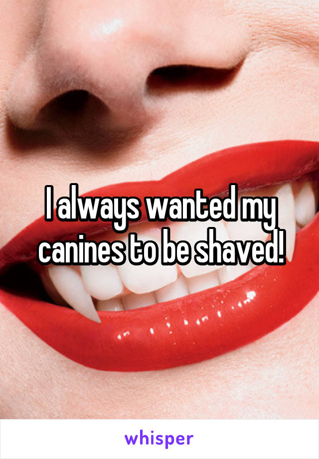 I always wanted my canines to be shaved!