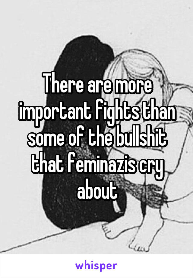 There are more important fights than some of the bullshit that feminazis cry about