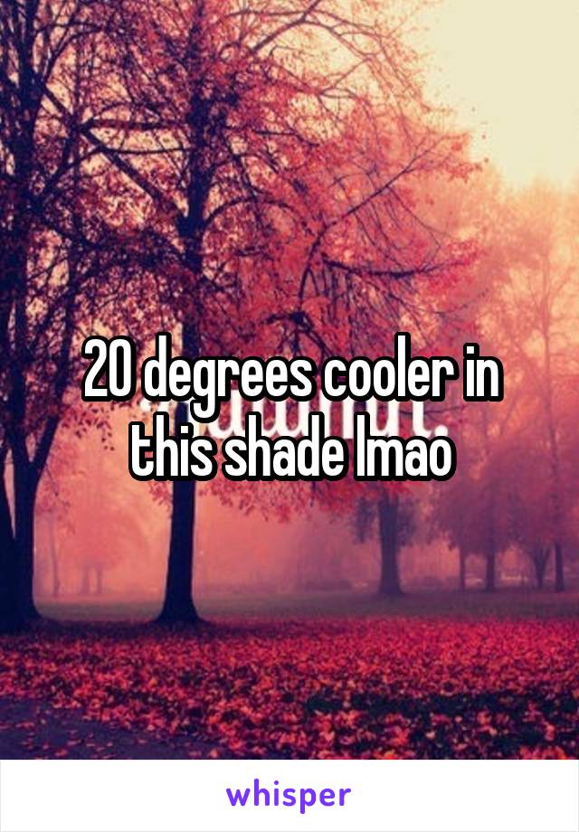 20 degrees cooler in this shade lmao