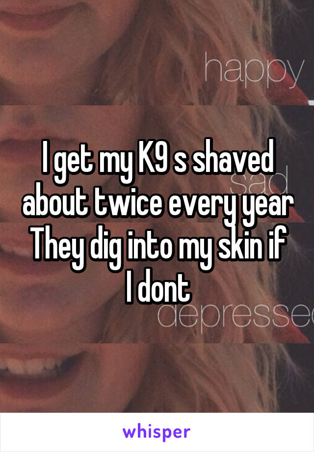 I get my K9 s shaved about twice every year
They dig into my skin if I dont