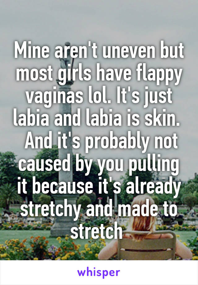 Mine aren't uneven but most girls have flappy vaginas lol. It's just labia and labia is skin.   And it's probably not caused by you pulling it because it's already stretchy and made to stretch 