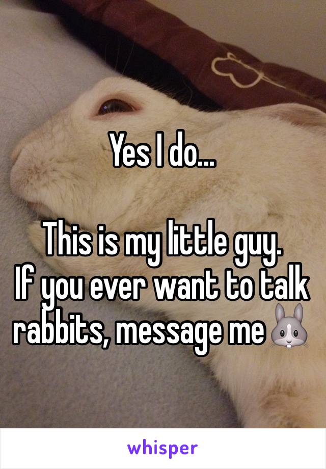 Yes I do...

This is my little guy.
If you ever want to talk rabbits, message me🐰