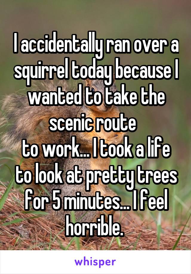 I accidentally ran over a squirrel today because I wanted to take the scenic route  
to work... I took a life to look at pretty trees for 5 minutes... I feel horrible. 