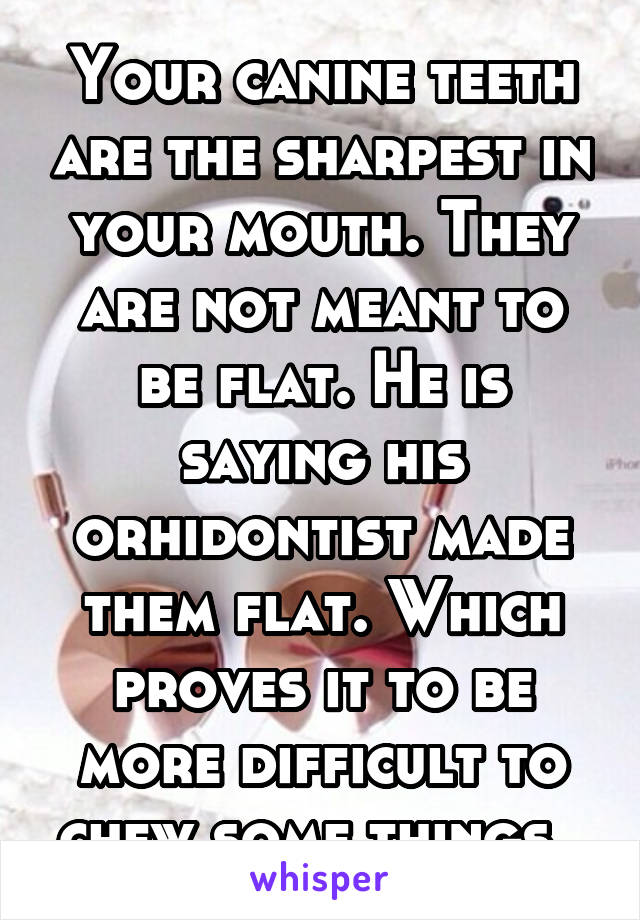 Your canine teeth are the sharpest in your mouth. They are not meant to be flat. He is saying his orhidontist made them flat. Which proves it to be more difficult to chew some things. 