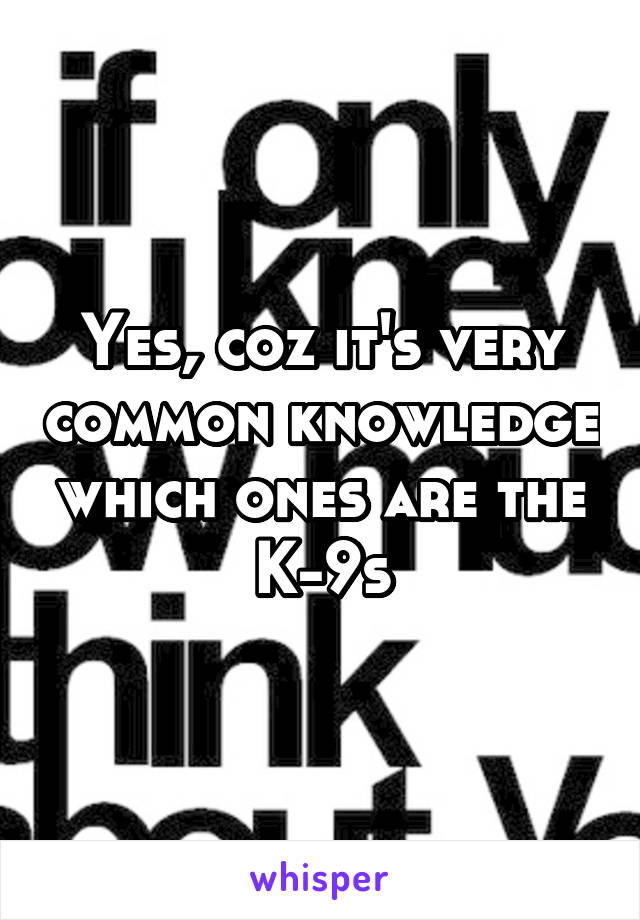 Yes, coz it's very common knowledge which ones are the K-9s