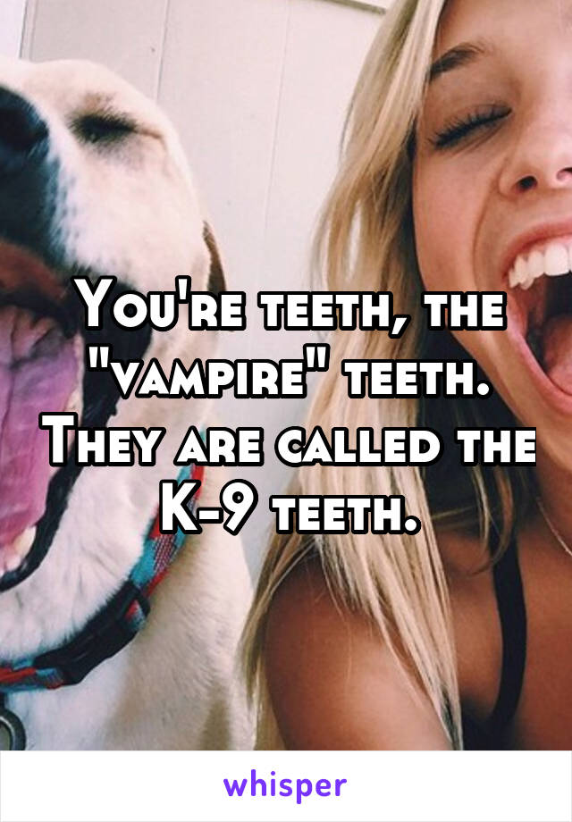 You're teeth, the "vampire" teeth. They are called the K-9 teeth.