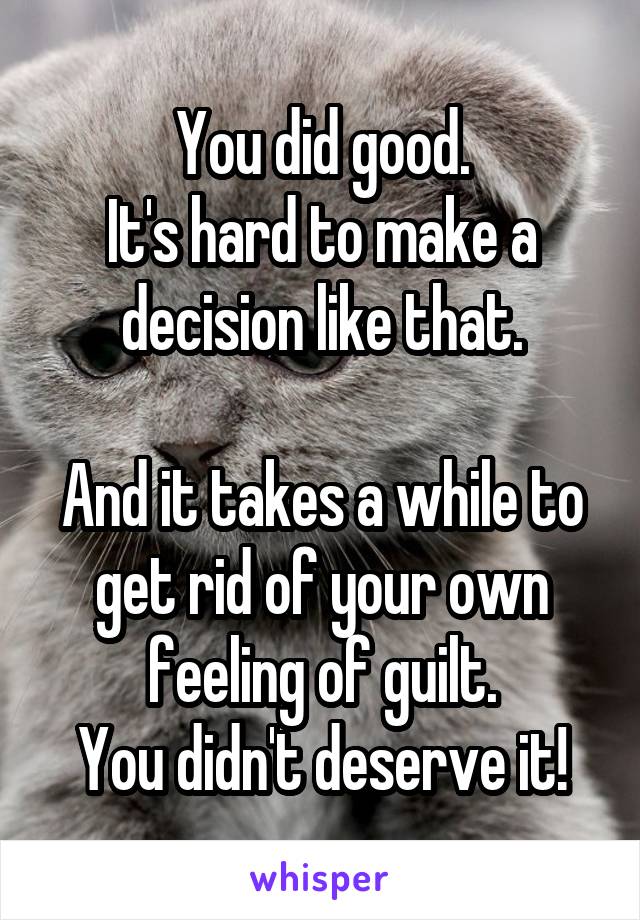 You did good.
It's hard to make a decision like that.

And it takes a while to get rid of your own feeling of guilt.
You didn't deserve it!