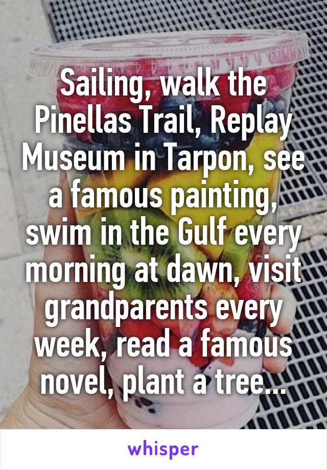 Sailing, walk the Pinellas Trail, Replay Museum in Tarpon, see a famous painting, swim in the Gulf every morning at dawn, visit grandparents every week, read a famous novel, plant a tree...