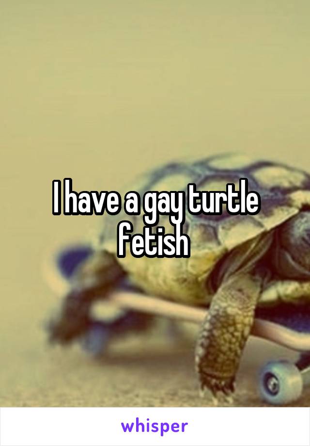 I have a gay turtle fetish 