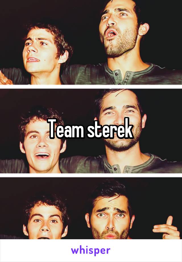 Team sterek 