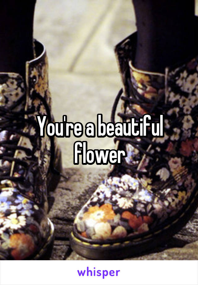 You're a beautiful flower