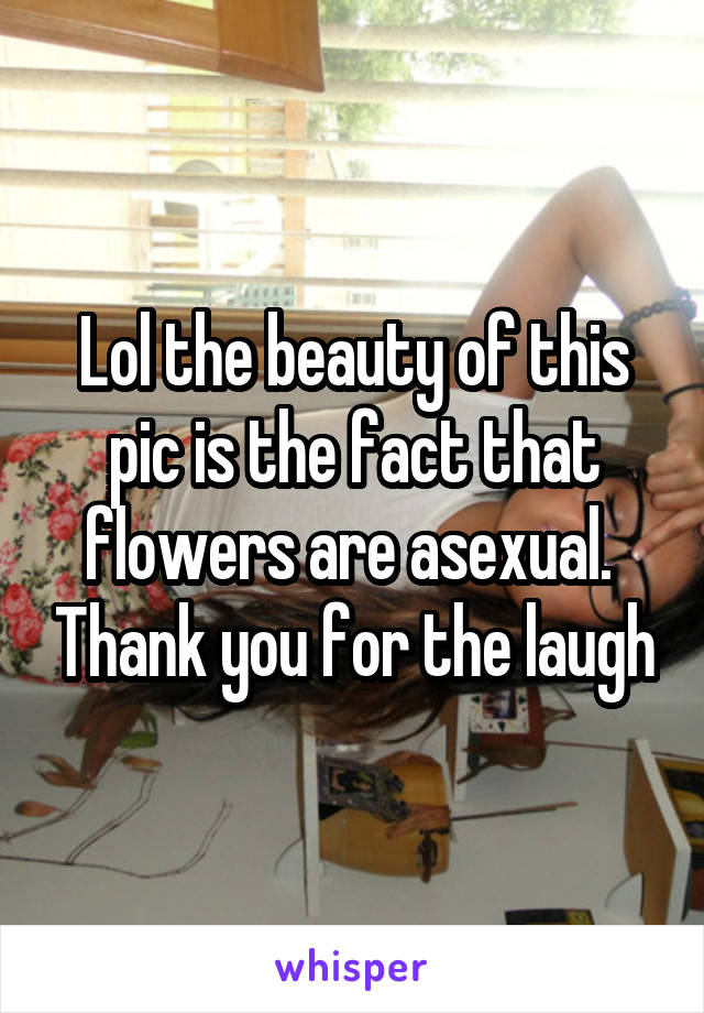 Lol the beauty of this pic is the fact that flowers are asexual.  Thank you for the laugh