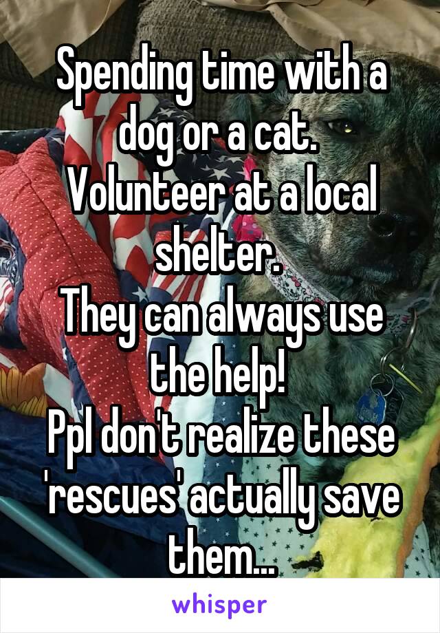 Spending time with a dog or a cat. 
Volunteer at a local shelter. 
They can always use the help! 
Ppl don't realize these 'rescues' actually save them...