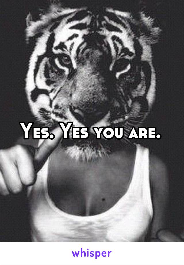 Yes. Yes you are. 