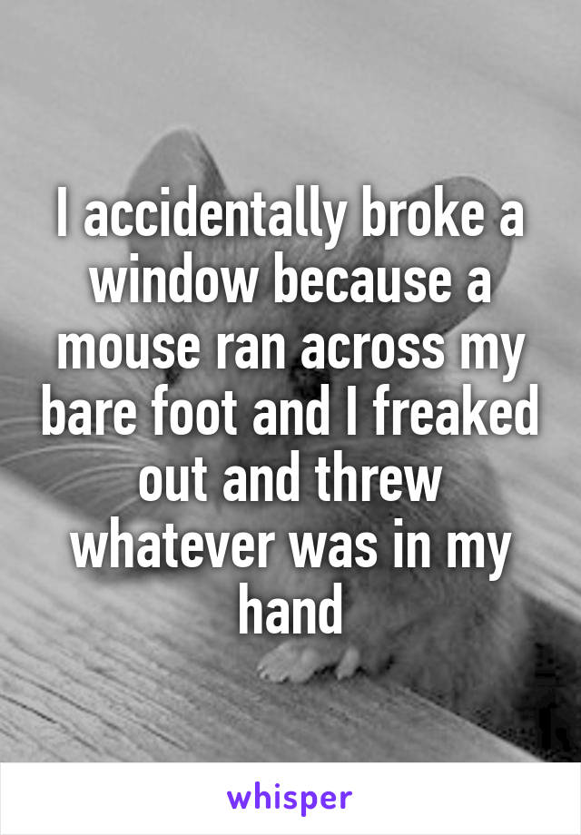 I accidentally broke a window because a mouse ran across my bare foot and I freaked out and threw whatever was in my hand