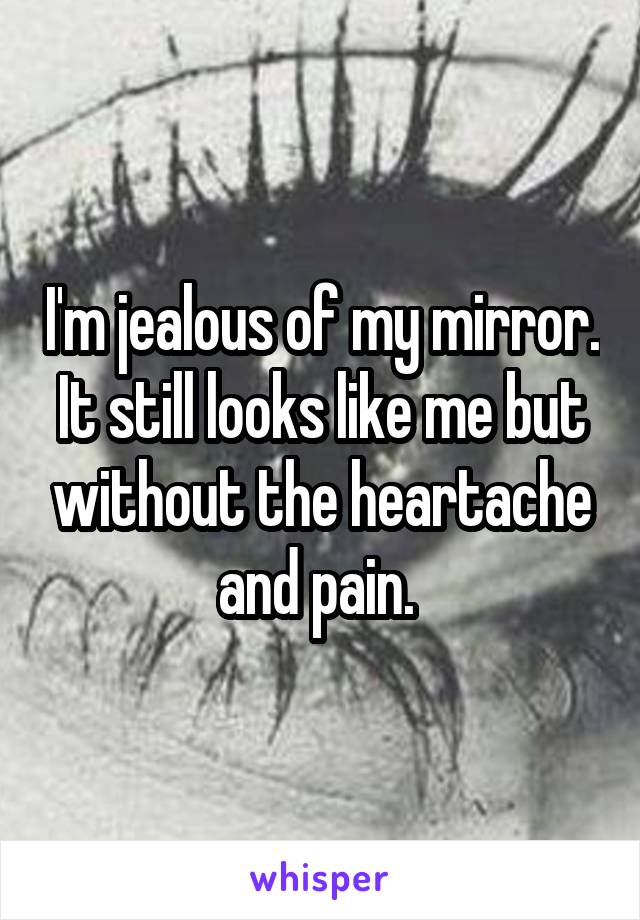 I'm jealous of my mirror. It still looks like me but without the heartache and pain. 