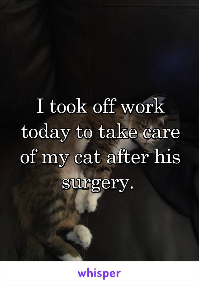 I took off work today to take care of my cat after his surgery. 