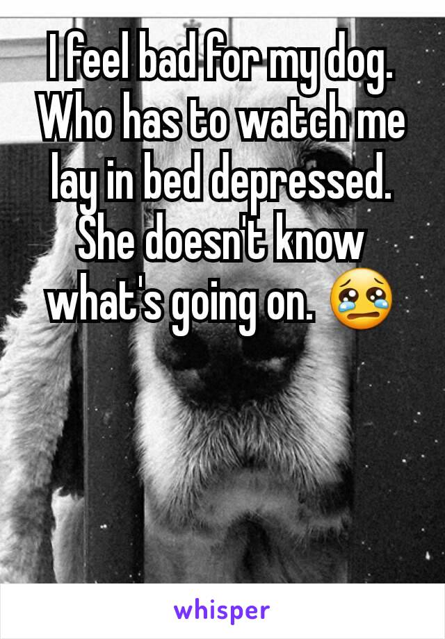 I feel bad for my dog. Who has to watch me lay in bed depressed. She doesn't know what's going on. 😢