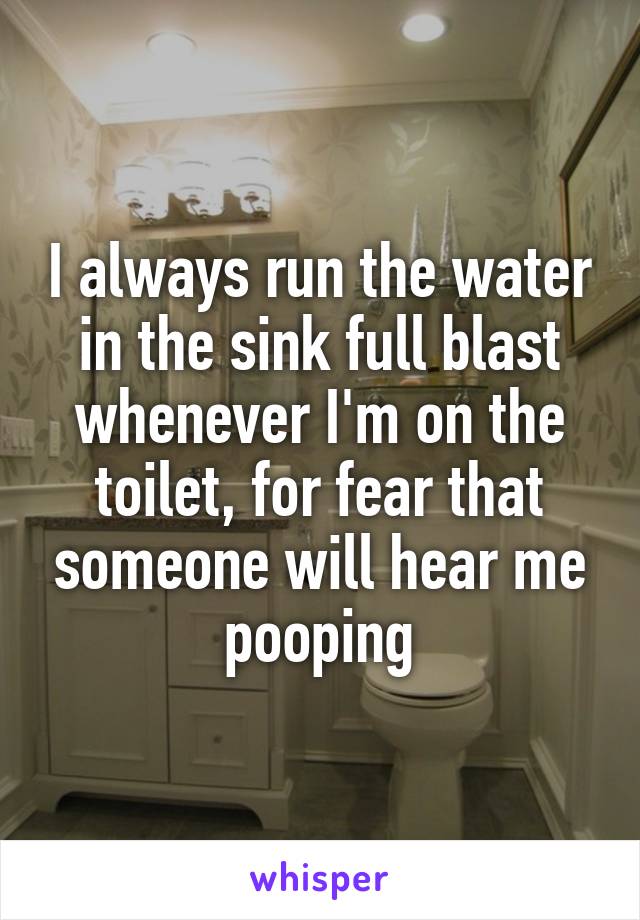 I always run the water in the sink full blast whenever I'm on the toilet, for fear that someone will hear me pooping