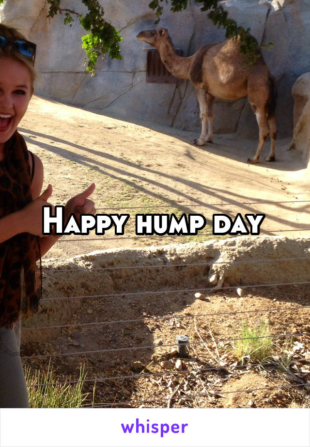 Happy hump day 