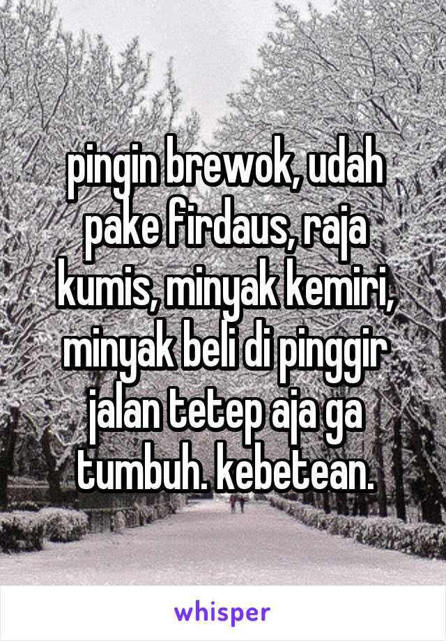 pingin brewok, udah pake firdaus, raja kumis, minyak kemiri, minyak beli di pinggir jalan tetep aja ga tumbuh. kebetean.