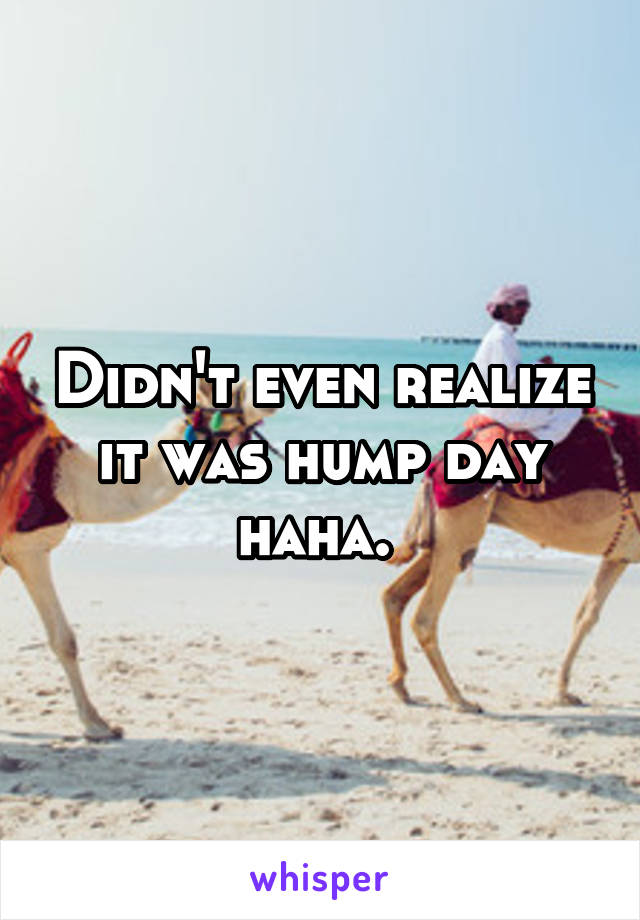 Didn't even realize it was hump day haha. 