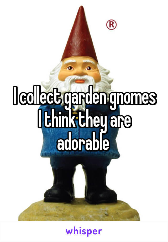 I collect garden gnomes I think they are adorable 