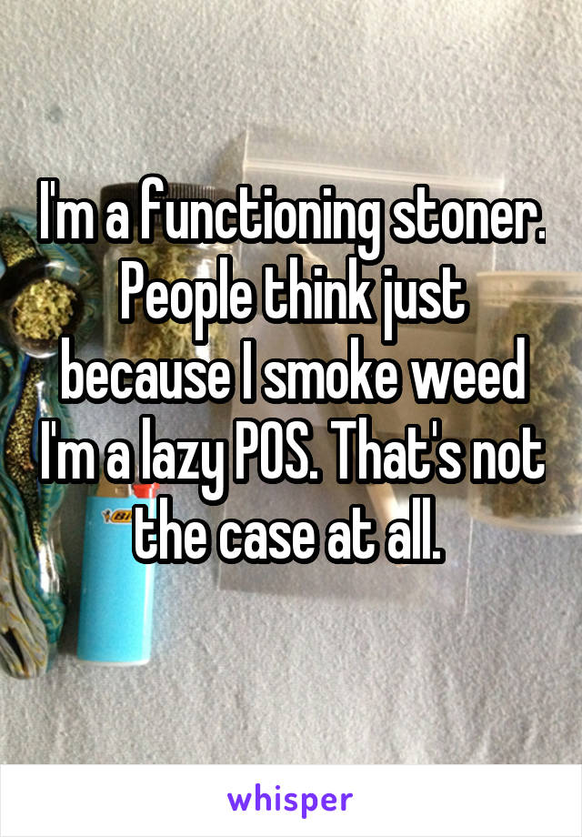 I'm a functioning stoner. People think just because I smoke weed I'm a lazy POS. That's not the case at all. 
