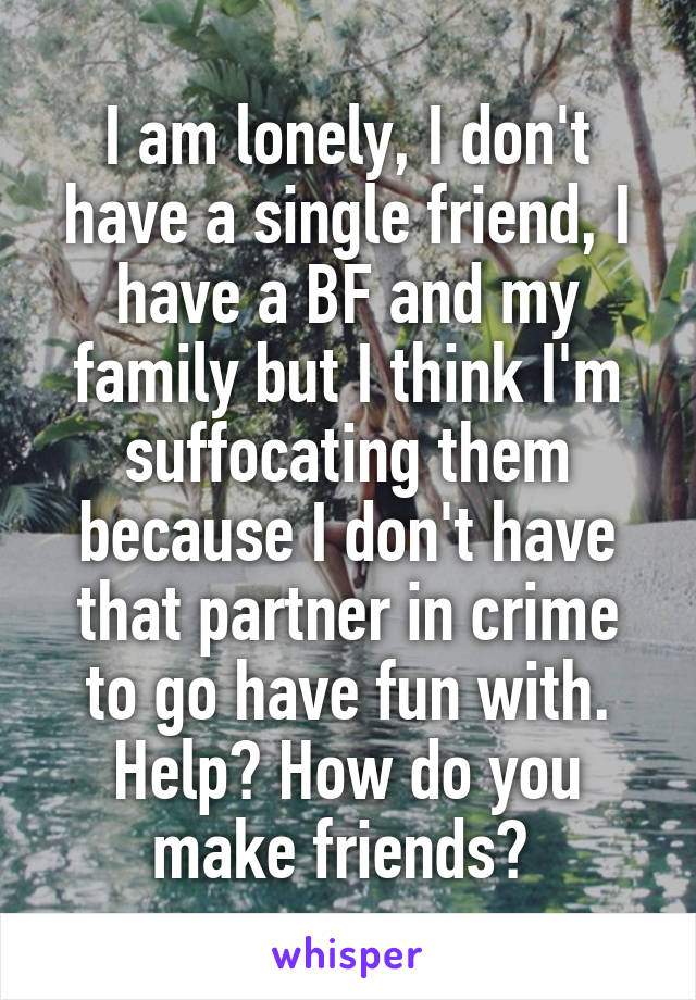 I am lonely, I don't have a single friend, I have a BF and my family but I think I'm suffocating them because I don't have that partner in crime to go have fun with. Help? How do you make friends? 