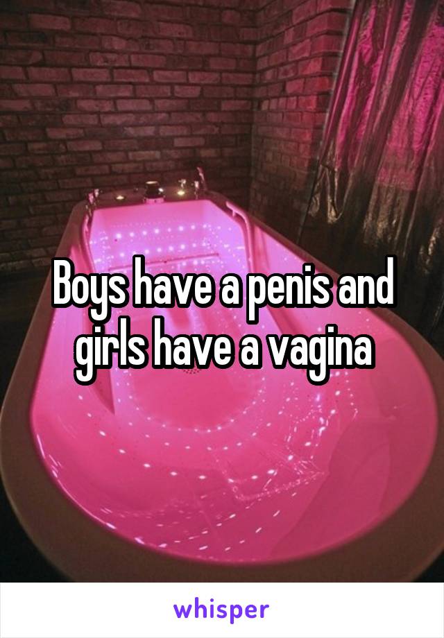 Boys have a penis and girls have a vagina