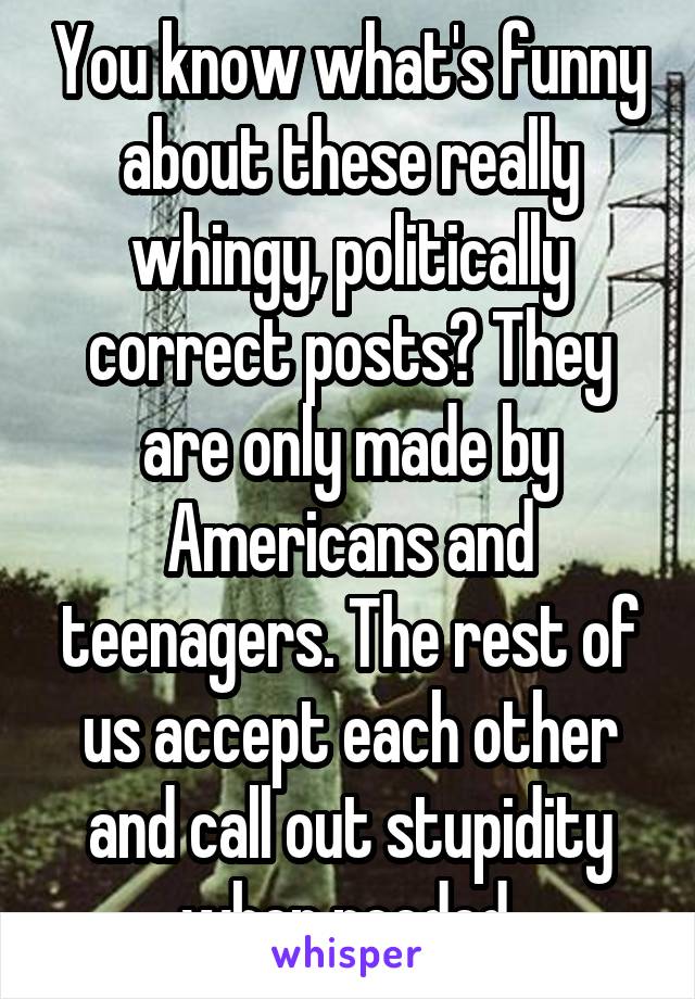 You know what's funny about these really whingy, politically correct posts? They are only made by Americans and teenagers. The rest of us accept each other and call out stupidity when needed.