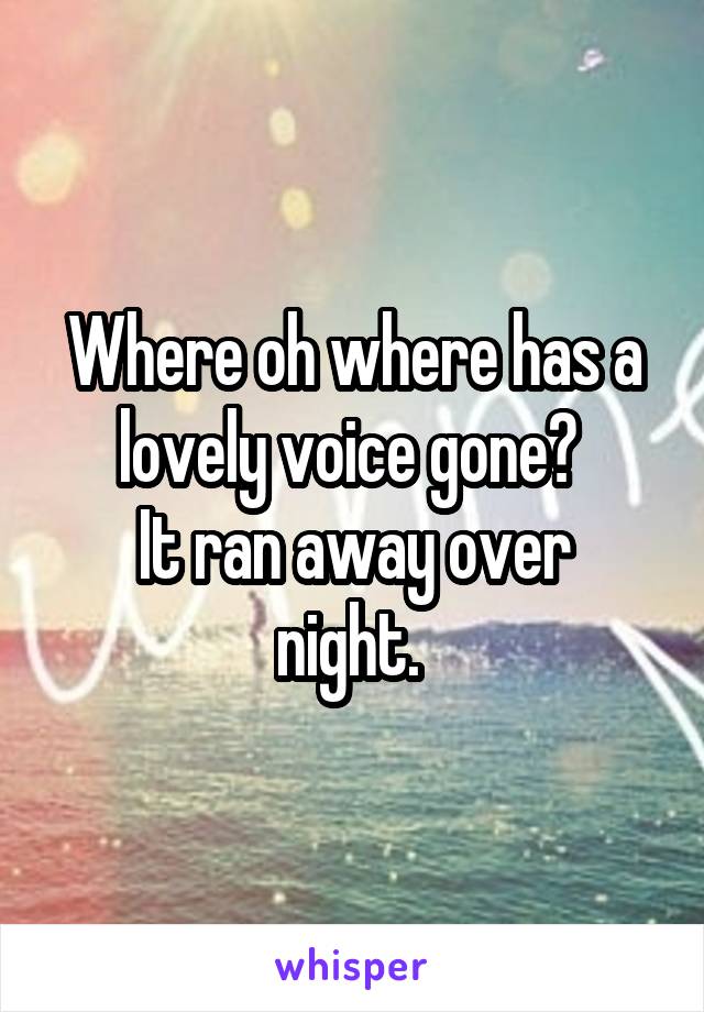 Where oh where has a lovely voice gone? 
It ran away over night. 