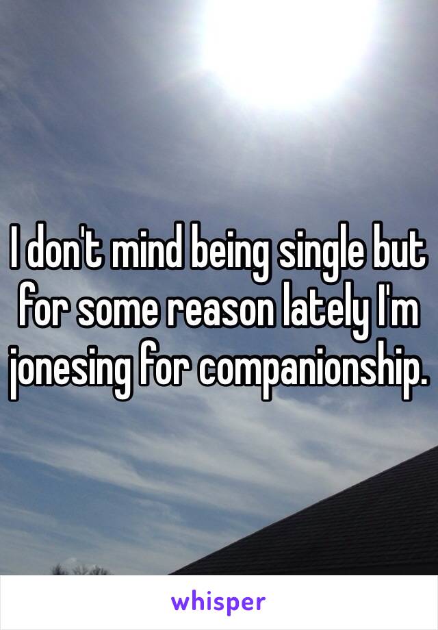 I don't mind being single but for some reason lately I'm jonesing for companionship.