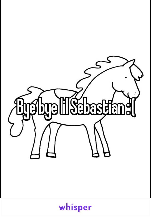 Bye bye lil Sebastian :'(