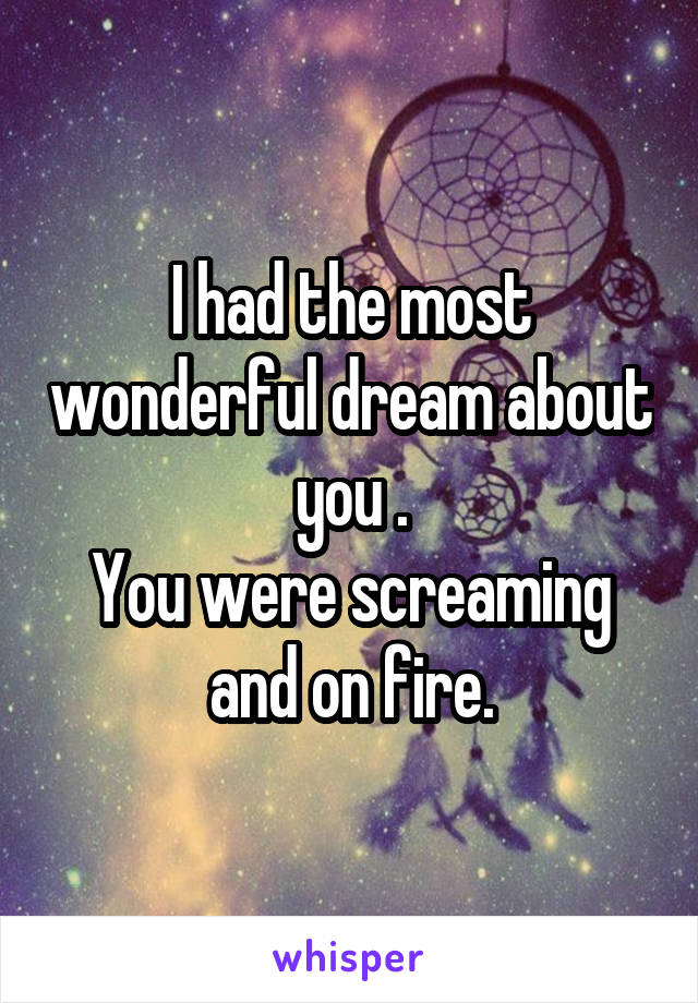 I had the most wonderful dream about you .
You were screaming and on fire.