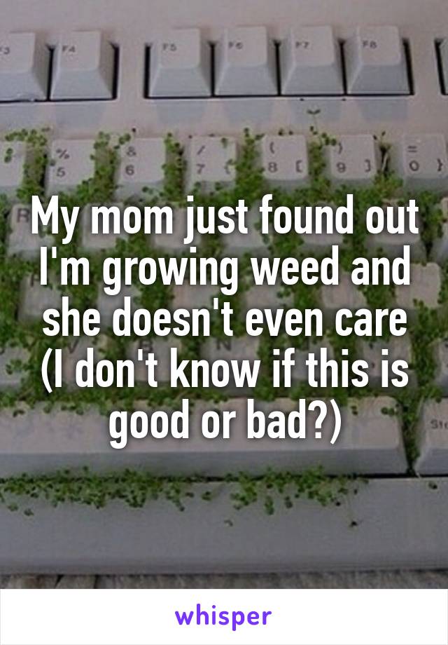 My mom just found out I'm growing weed and she doesn't even care (I don't know if this is good or bad?)