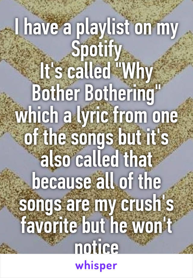 I have a playlist on my Spotify
It's called "Why Bother Bothering" which a lyric from one of the songs but it's also called that because all of the songs are my crush's favorite but he won't notice