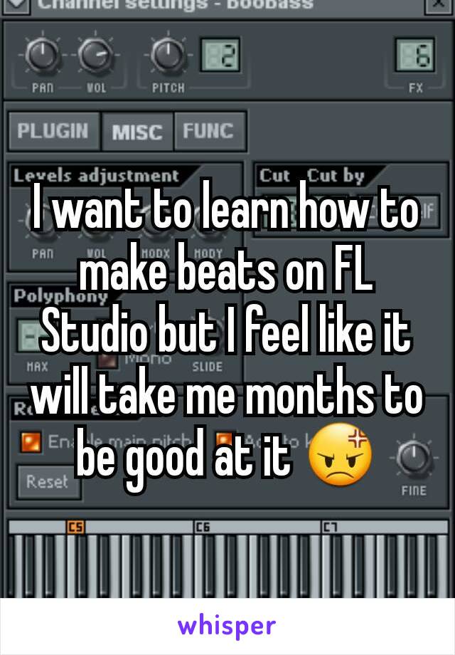 I want to learn how to make beats on FL Studio but I feel like it will take me months to be good at it 😡