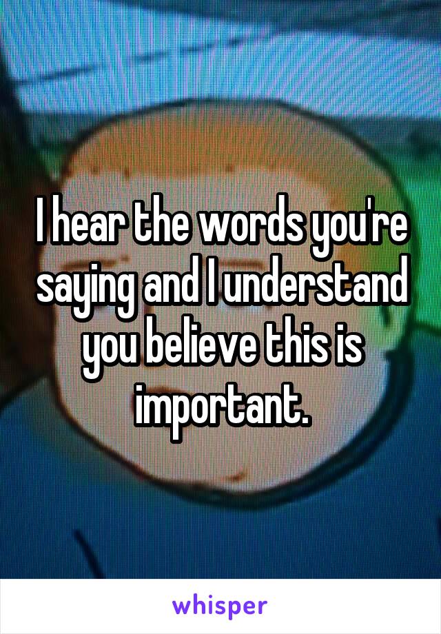 I hear the words you're saying and I understand you believe this is important.