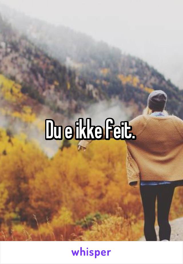 Du e ikke feit. 