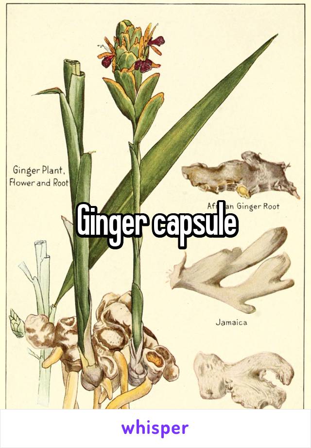 Ginger capsule