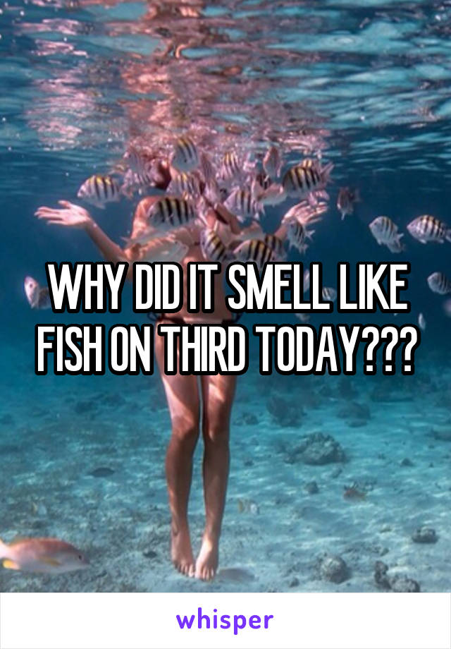 WHY DID IT SMELL LIKE FISH ON THIRD TODAY???