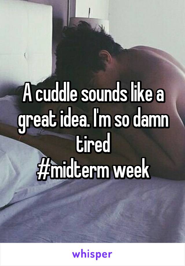 A cuddle sounds like a great idea. I'm so damn tired
#midterm week